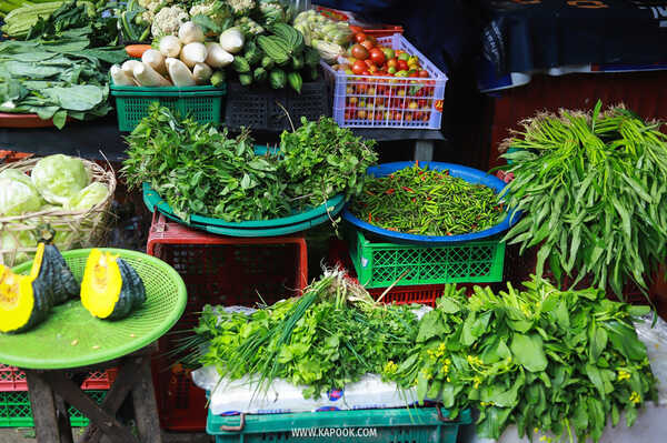 กาดเก๊าจาว