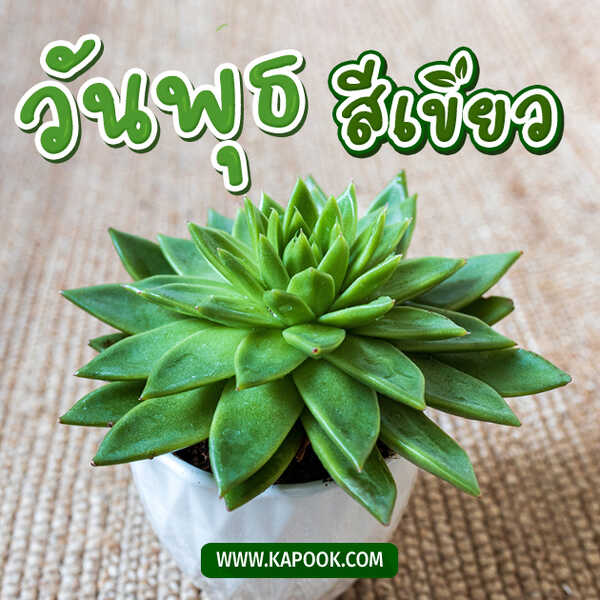 สวัสดีวันพุธ สีเขียว