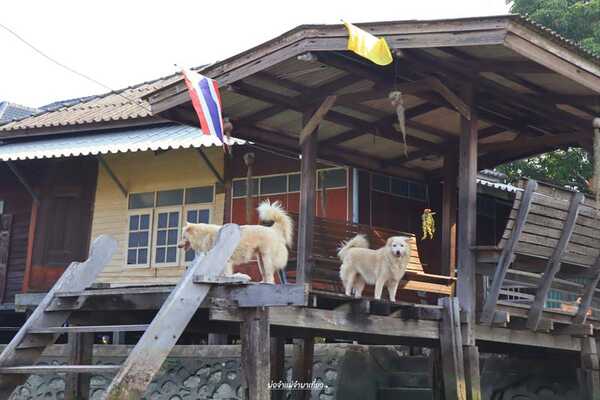 นั่งเรือคลองอ้อมนนท์
