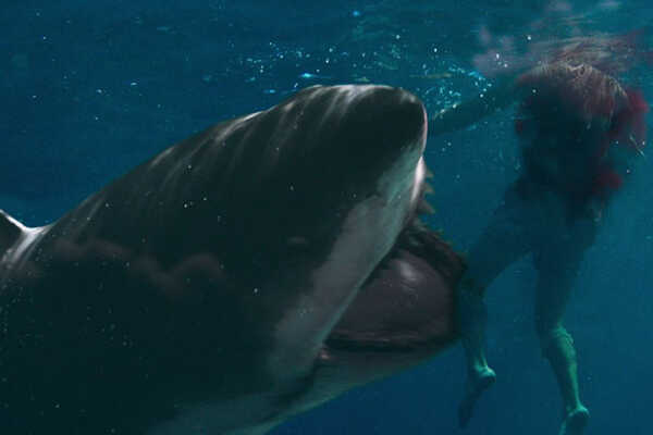 หนัง Shark Bait ฉลามคลั่งซัมเมอร์นรก