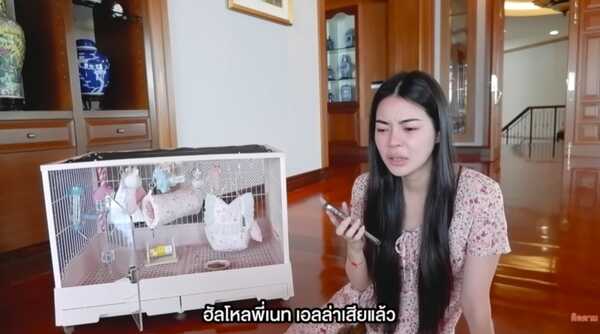 เอวา ปวรวรรณ