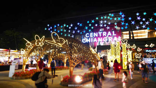 ดูไฟคริสต์มาส