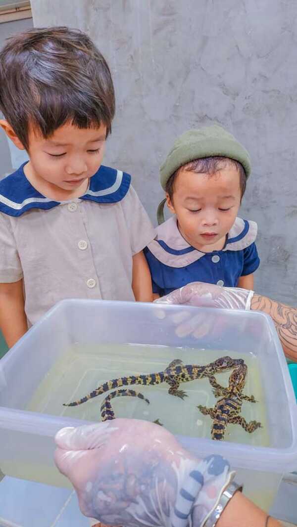 แกะไข่จระเข้