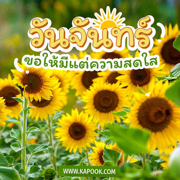 รูปสวัสดีวันจันทร์ ขอให้มีแต่ความสดใส
