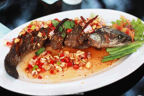 เที่ยวพิษณุโลก 