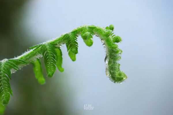 ช่องเย็น