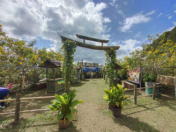 ทุ่งดอกบัวตอง 2564