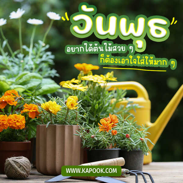 สวัสดีวันพุธ