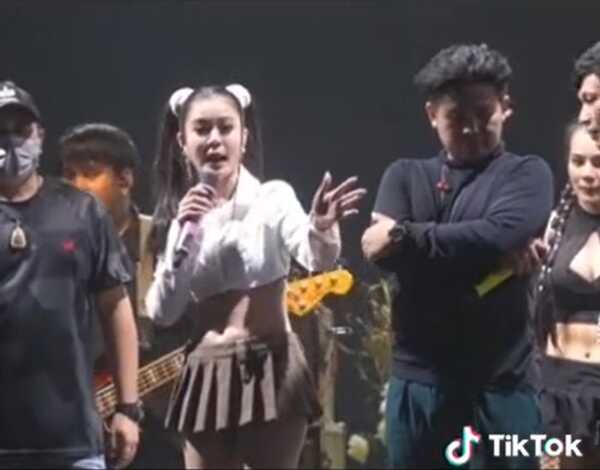 ลำไย ไหทองคำ