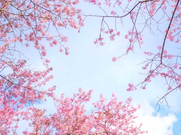 ภูลมโล