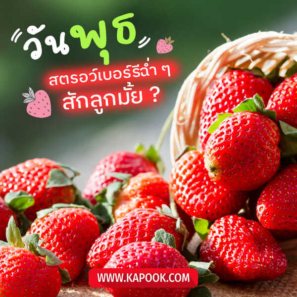 สวัสดีวันพุธ