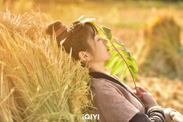 รีวิวซีรีส์