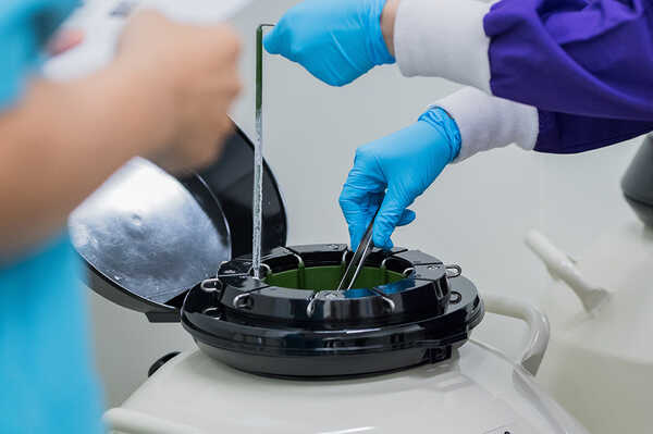 การฝากไข่ (Egg Freezing)