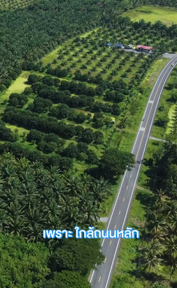 เจมส์ เรืองศักดิ์ ประกาศขายสวน