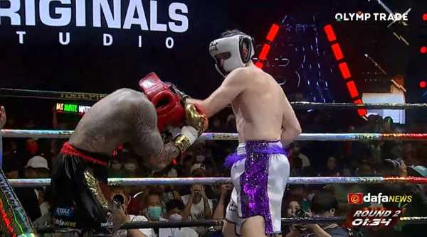 เนท My Mate Nate 