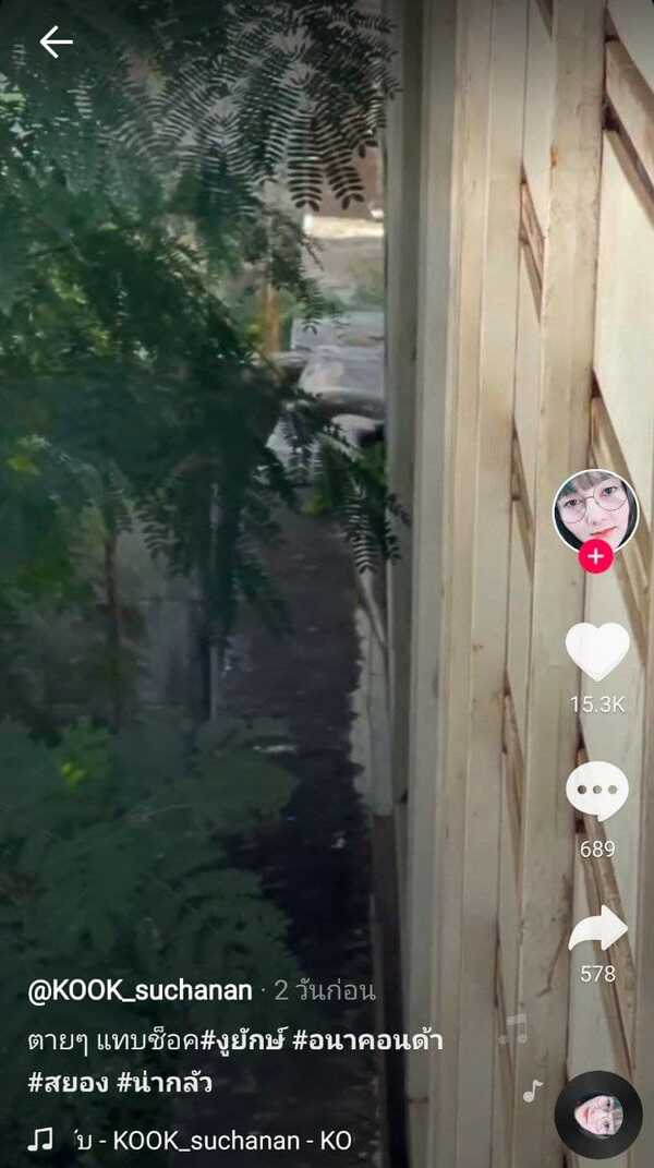 งูยักษ์ คลองสามวา