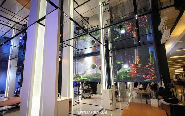 vivo Bangkok วีโว่ แฟลกชิป สโตร์
