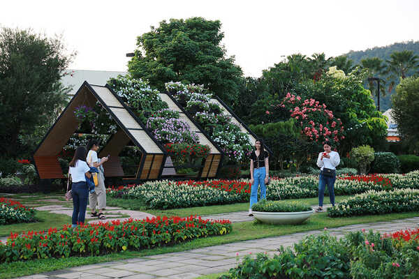 เทศกาลชมสวน 2563 อุทยานหลวงราชพฤกษ์