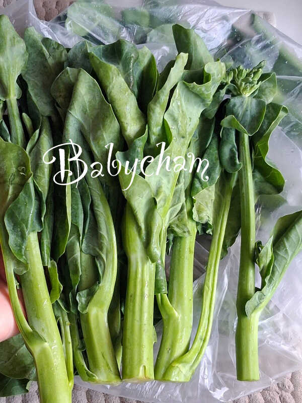 แผ่นแป้งเวียดนามผัดซีอิ๊ว เมนูเส้น ผัดซีอิ๊ว อาหารจานเดียว เมนูอาหารไทย