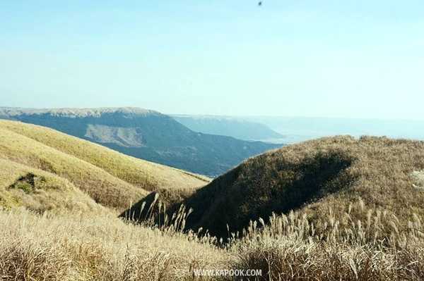 เที่ยวคุมาโมโตะ ญี่ปุ่น