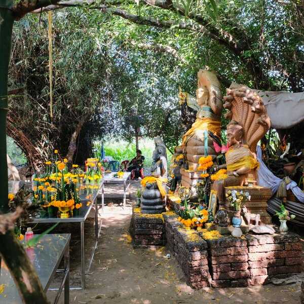 เจ้าปู่อือลือนาคราช เกาะดอนโพธิ์