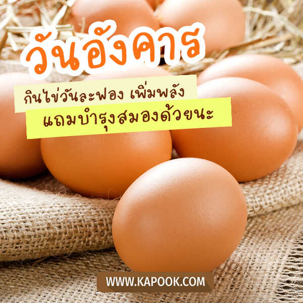 วันอังคาร กินไข่วันละฟอง เพิ่มพลัง แถมบำรุงสมองด้วยนะ