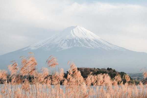 เที่ยวคาวากุจิโกะ 