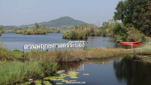 เที่ยวระยอง