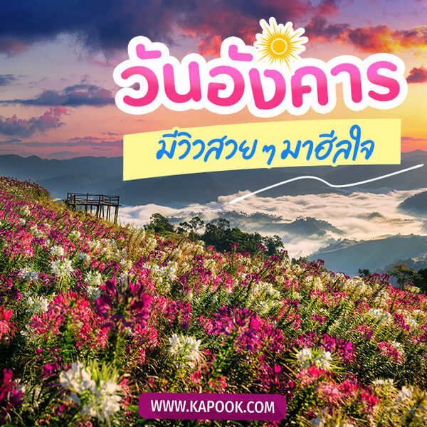 สวัสดีวันอังคาร