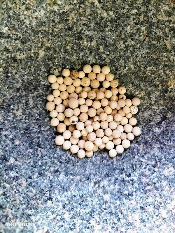 พะโล้คากิ เมนูพะโล้ ขาหมู อาหารไทย สูตรอาหาร