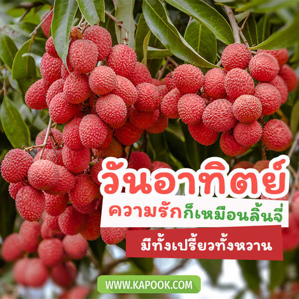 วันอาทิตย์ ความรักก็เหมือนลิ้นจี่ มีทั้งเปรี้ยวทั้งหวาน