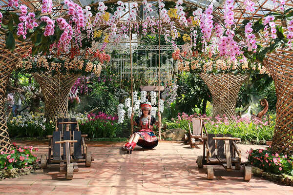 เทศกาลชมสวน 2563 อุทยานหลวงราชพฤกษ์