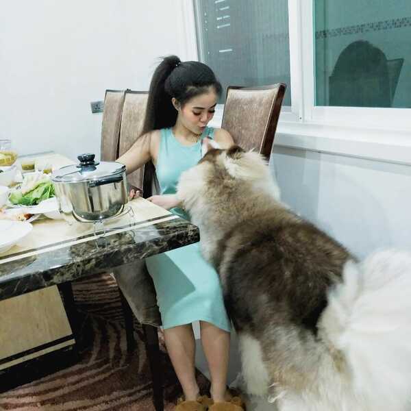 ลําไย ไหทองคํา