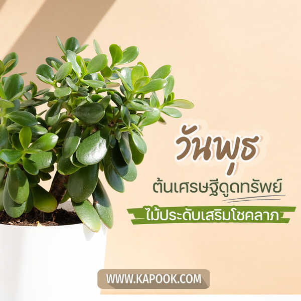สวัสดีวันพุธ