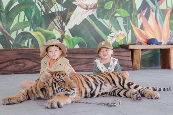 Sriayuthaya Lion Park