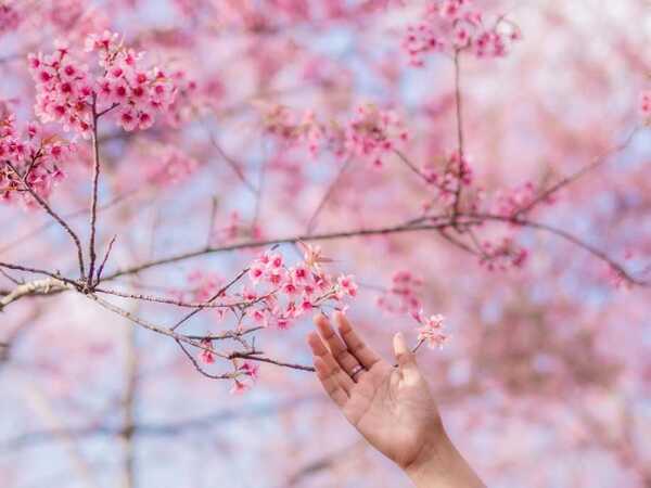 ภูลมโล