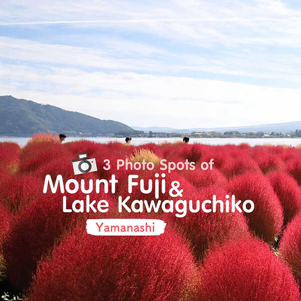 จุดชมภูเขาไฟฟูจิ 