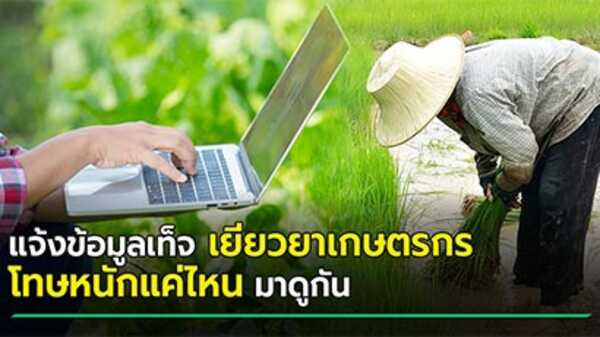 เยียวยาเกษตรกร