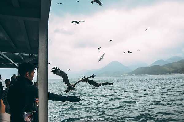 หมู่บ้านประมงอิเนะ