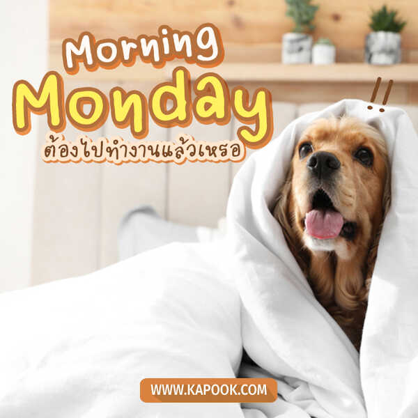 Morning Monday ต้องไปทำงานแล้วเหรอ