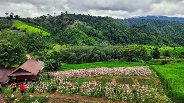 การเกษตร บ้านน้ำจวง