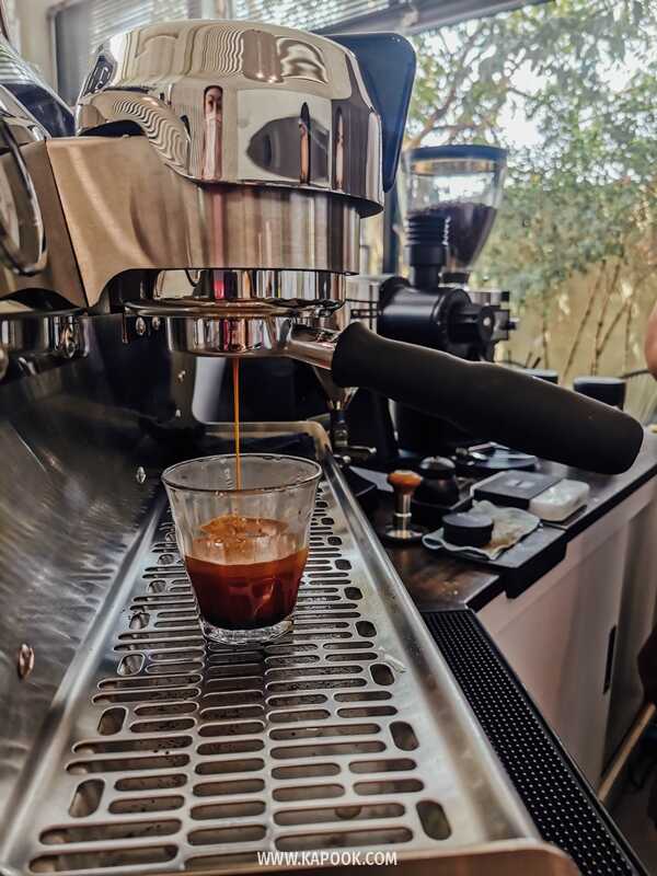 SAY Coffee Roasters