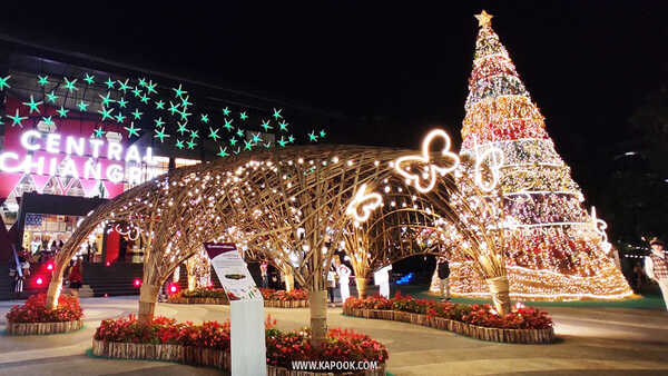 ดูไฟคริสต์มาส