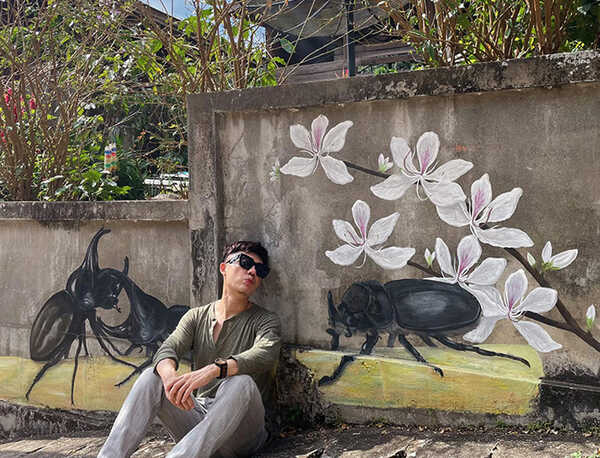 บ้านป่าเหมี้ยง