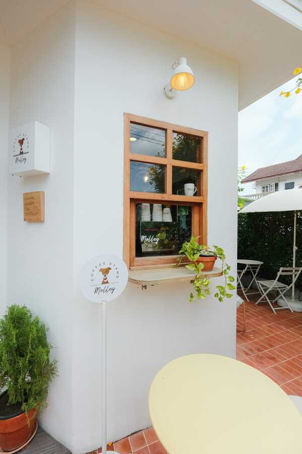 Molley coffee stand