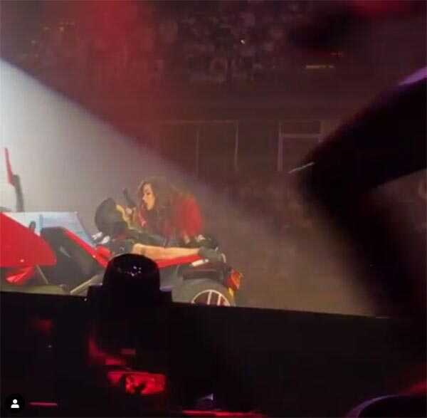 ใบเฟิร์น พิมพ์ชนก