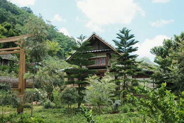 Mori Natural Farm
