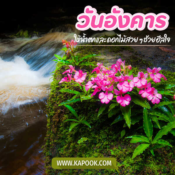 วันอังคาร ให้น้ำตกและดอกไม้สวย ๆ ช่วยฮีลใจ