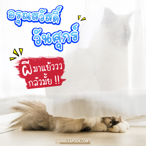 อรุณสวัสดิ์วันศุกร์ ผีมาแย้ววว กลัวมั้ย !!