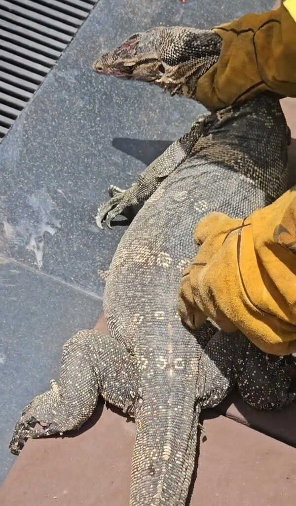 เจเพชรจ้า เผยโฉม 1 ในตัวการ ทำต้องรื้อบ้าน